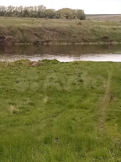 Участок 50 сот. (ИЖС)