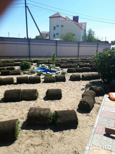 Рулонный газон