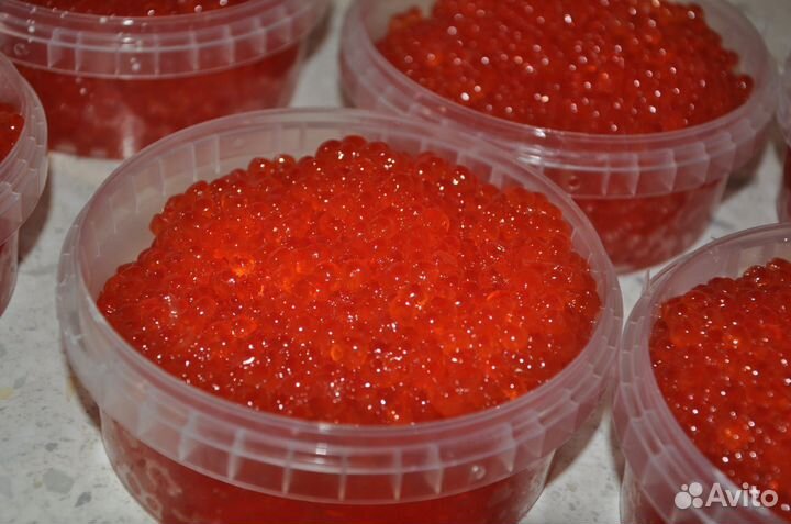 Красная икра Камчатка 2023