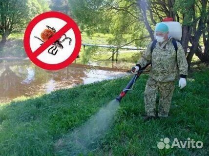 Акарицидная обработка участка от клещей