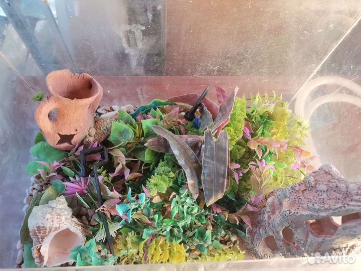 Клетка для попугая бу и аквариум