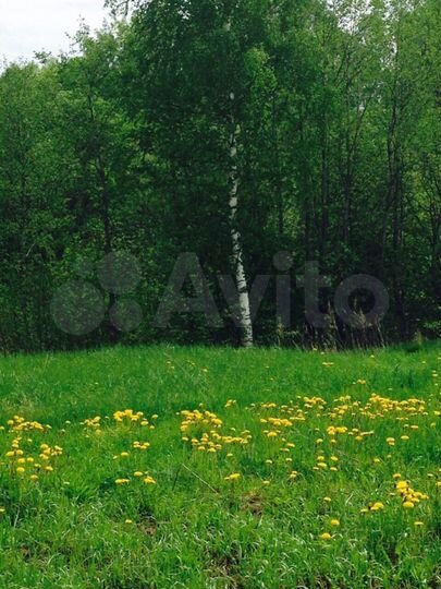 Участок 50 сот. (ИЖС)