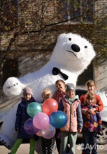 Поздравления/Аниматоры на все праздники/Аэромишка
