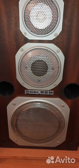 Аудиосистема Estonia-010