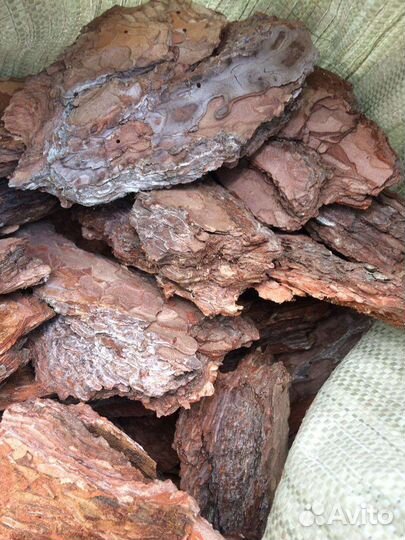 Кора сосны мульча