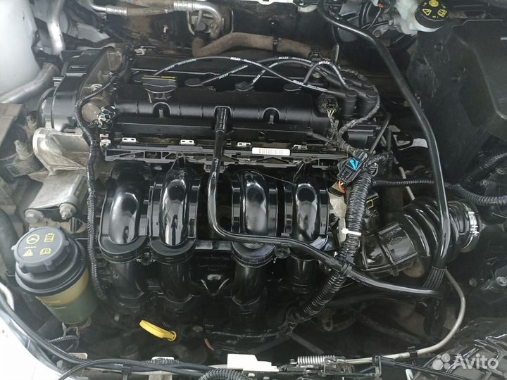 Ford Focus 1.6 МТ, 2017, 177 909 км