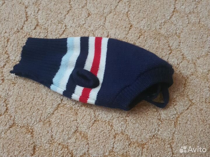 Одежда для собак