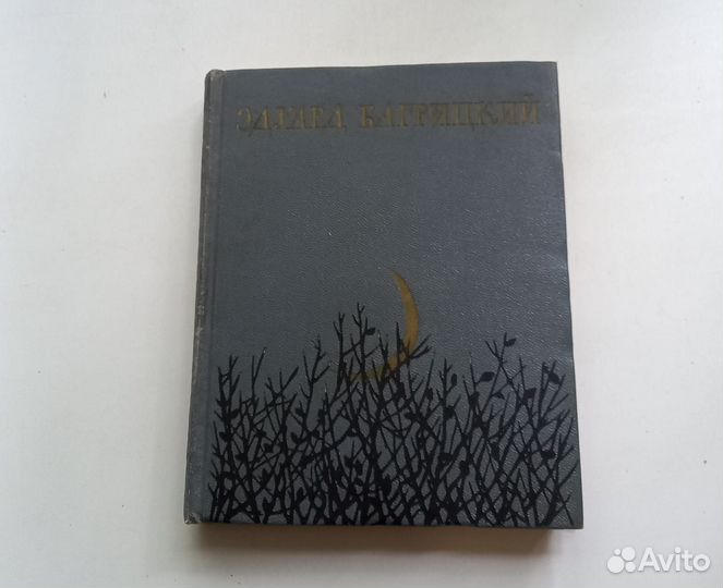 Книга Эдуард Багрицкий. Стихи и поэмы