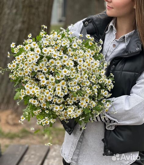 Ромашки в Букетах. Цветы с Доставкой