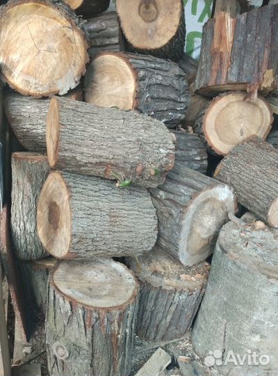Слэбы, спилы дуба, ясеня, бука, комфортный лавр