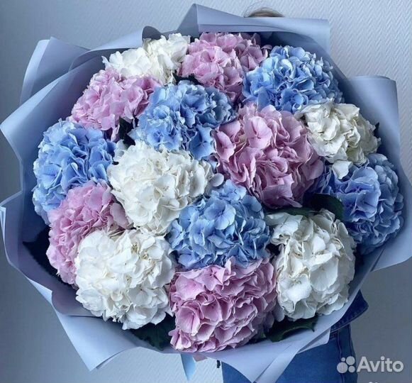 Букет из гортензий, премиум букет, доставка