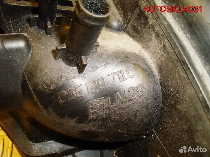 Впускной коллектор Skoda Fabia 03E129711C