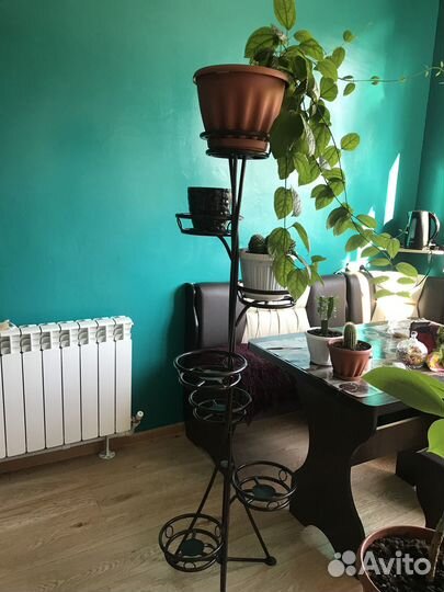 Этажерка для цветов