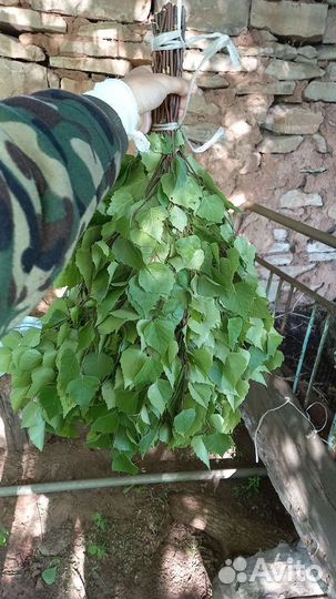 Веники для бани: береза