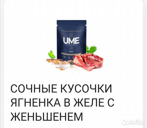 Гипоаллергенный корм для собак с Энтопротеином