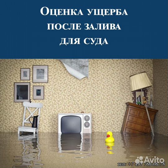 Оценка (оценочная и строительная экспертиза)