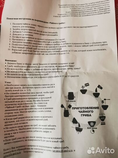 Чайный гриб вместе с заварником