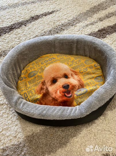 Лежанка для собак новая