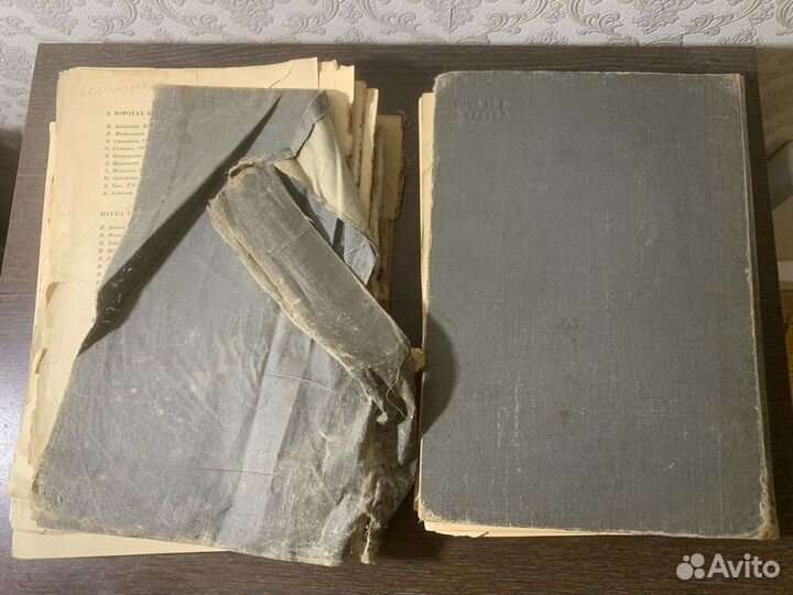 Поход Челюскина. Том 1. 1934 год