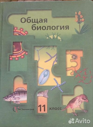 Учебники 10-11 класс