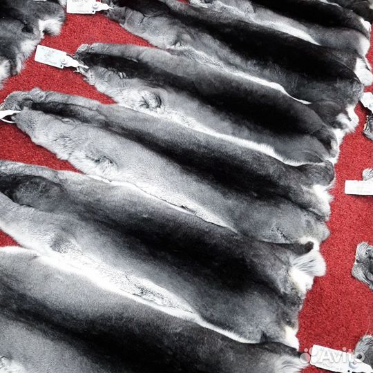 Шкурка шиншиллы 