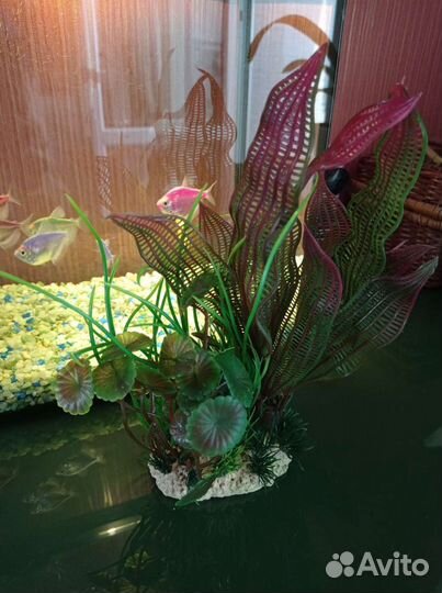 Искусственные растения для аквариума