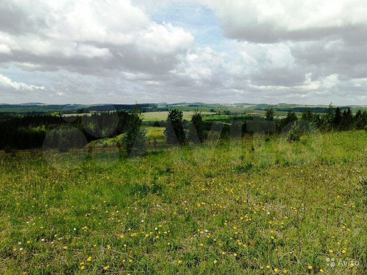 Участок 10 сот. (СНТ, ДНП)