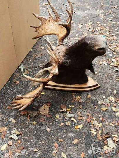 Чучело, цена за одну