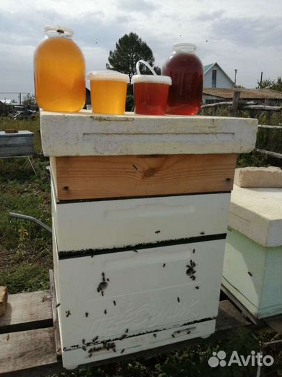 Форма для ульев ппс 12 рам