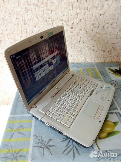 Acer