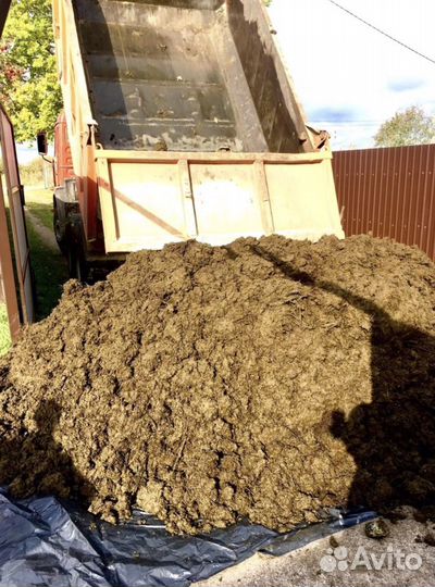 Коровий навоз