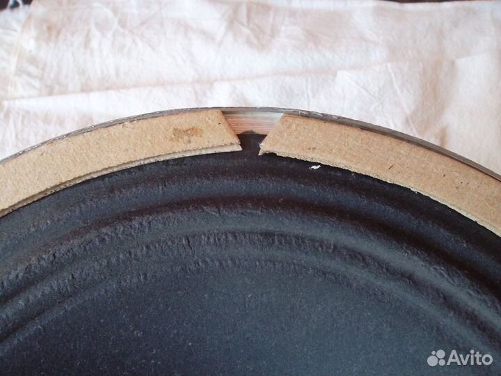 Широкополосные динамики 40 гд 301