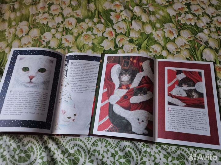 Сью Стейнтон: Снежный котенок и Белоснежка и Новый