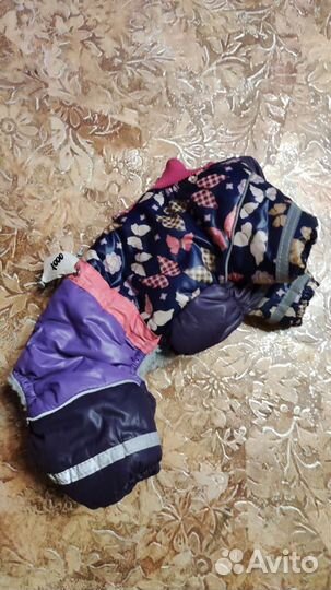 Одежда для маленьких собак