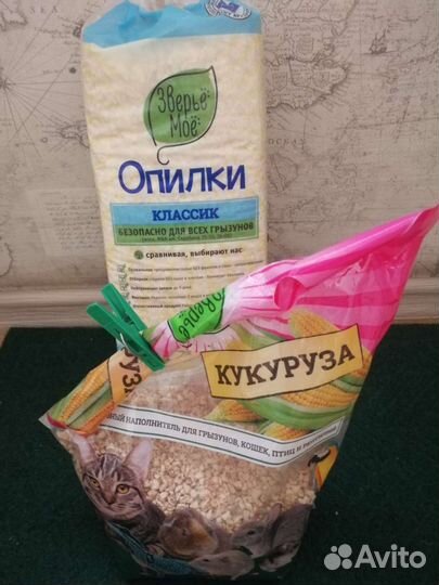 Джунгарские хомяки