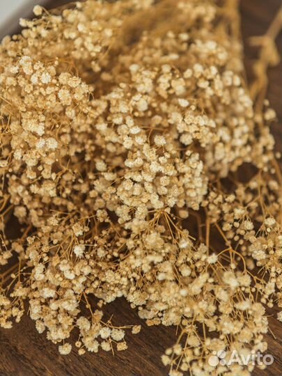 Цветы дизайн