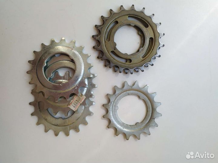 Звезда задняя