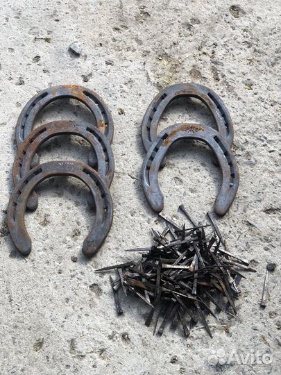 Конная амуниция