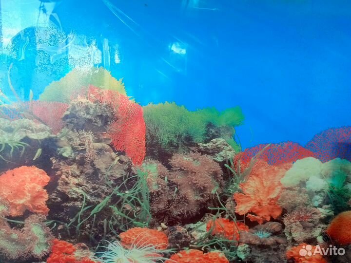 Все для аквариума