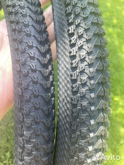 Maxxis Pace 29x2.1 новые покрышки