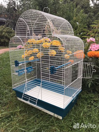 Клетка для средних попугаев
