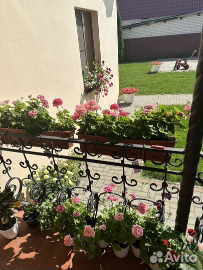 Летнее контейнерное озеленение