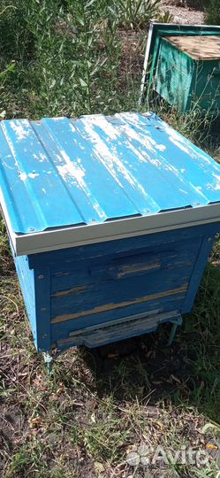 Ульи для пчел