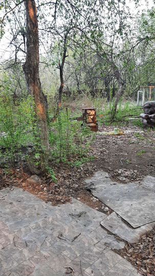 Участок 4 сот. (СНТ, ДНП)