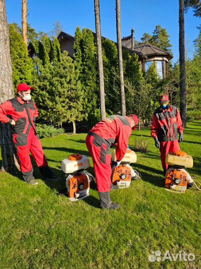 Дезинфекция