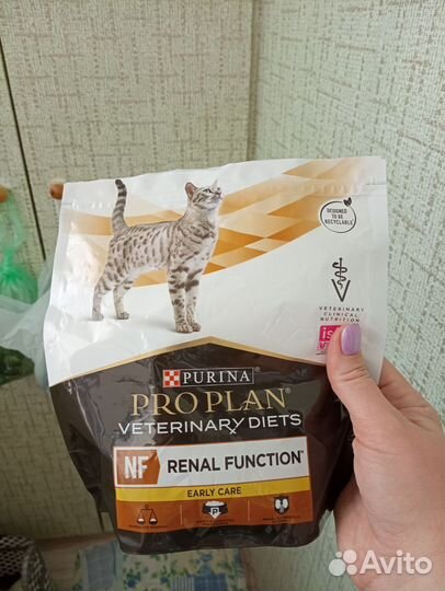 Корм для кошек про план нф