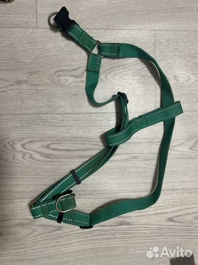 Поводок, шлейка, расческа, игрушка