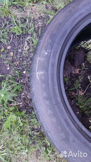 Goodyear Eagle F1 Supercar 65/50 R19