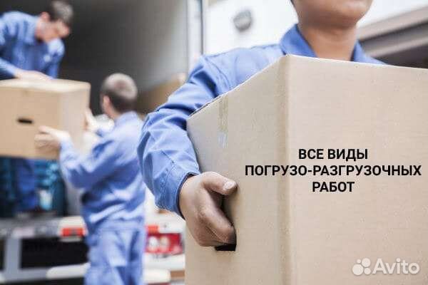 Грузчики, разнорабочие, сборщик мебели