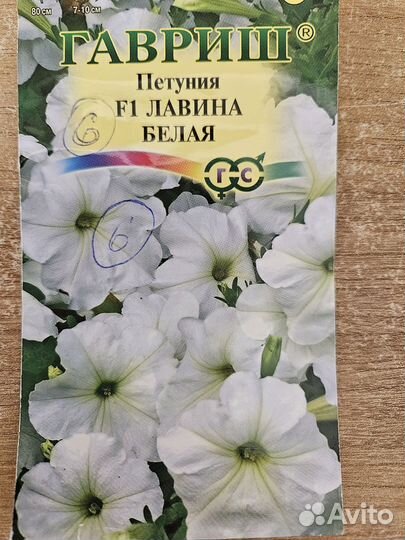 Черенки и рассада петуний